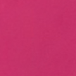 Cheerleader Vegan Nail Polish – Hot Pink, Chip-Resistant, Non-Yellowing, Long-Lasting, Gel-Like Shine