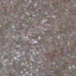 Full Moon Vegan Metallic Nail Polish – Chip-Resistant, Non-Yellowing, Shimmer Finish, Long-Lasting