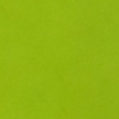 Green Apple Soda Vegan Nail Polish – Chip-Resistant, Non-Yellowing, Neon Finish, Gel-Like Shine, Long-Lasting
