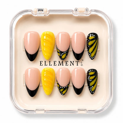 Monarch Butterfly on Black French 2